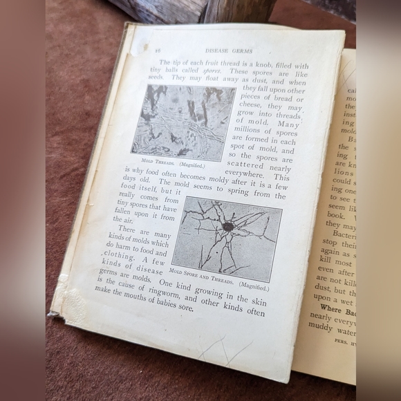 Personal Hygiene by Frank Overton 1913 Antique Hardcover Book - Picture 14 of 16